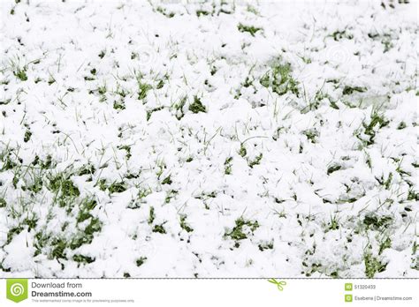 Grass Snowy Field Stock Image Image Of Foreground Grass 51320433