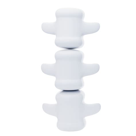 Spine 3D Icon. human spine bones structure anatomy 3d icon 41280219 PNG