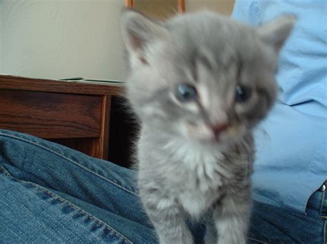 Amateur Lovers Picset Collection Selfies Porn Pic