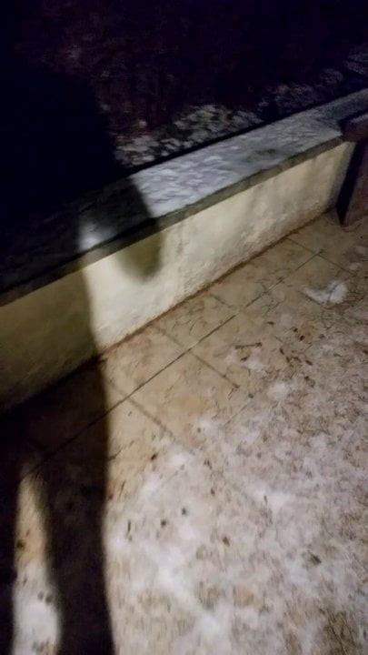 Breakfast Naked Outside Cold Mrning XHamster