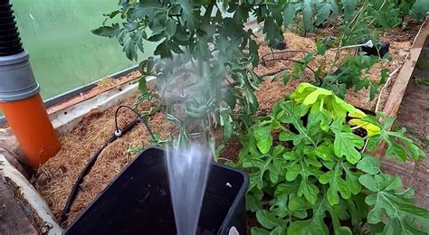 Compatibility and combination of preparations for tank mixtures + video ...