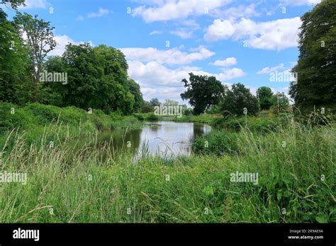 A Beautiful Woodland Landscape Around The River Eden Stock Photo Alamy