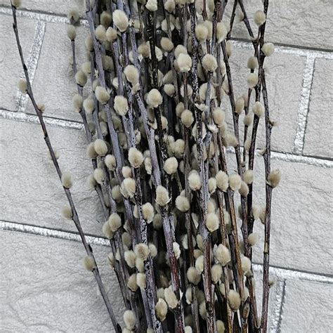 Artificial Pussy Willows Etsy
