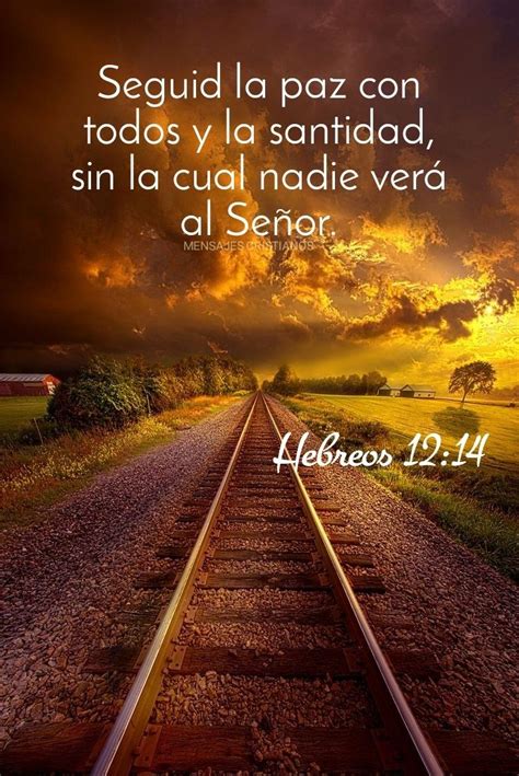 Mensajes Cristianos Hebreos 12 14 En 2021 Palabra De Dios Biblia Hot