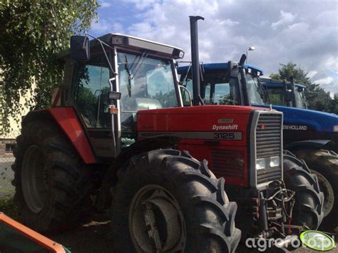Foto ciagnik MF 3125 #99420 - Galeria rolnicza agrofoto