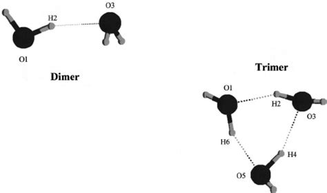 Equilibrium Structures Of The Dimer And Of The Trimer Of Water