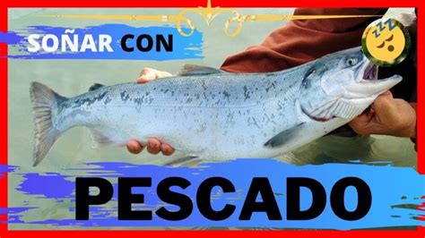 C Mo Interpretar So Ar Con Pescados Frescos Una Gu A Para Desentra Ar