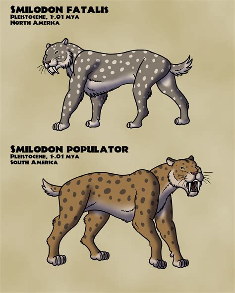 Smilodon North and South by BrandonP on Newgrounds