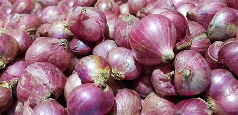 Group Of Shallots Onion Fresh Purple Shallots Or Allium Cepa Close Up