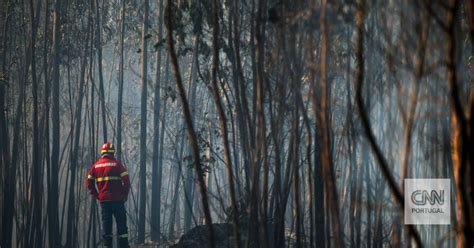 Incêndio em Albergaria a Velha atinge várias casas de primeira