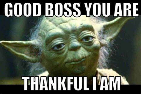 Yoda Best Boss Meme at Charles Zeigler blog
