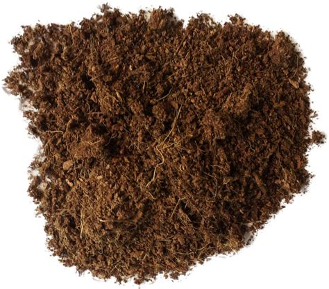 Coco Fiber