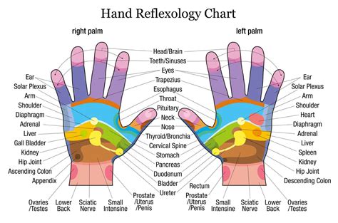 Hand Therapy | When You Touch These Points on Your Hands