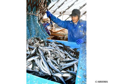 小名浜漁港でさんま初水揚げ 浜さ恋