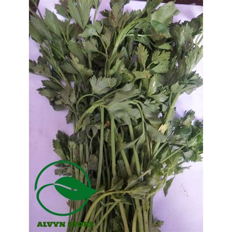 Jual Daun Seledri Shopee Indonesia