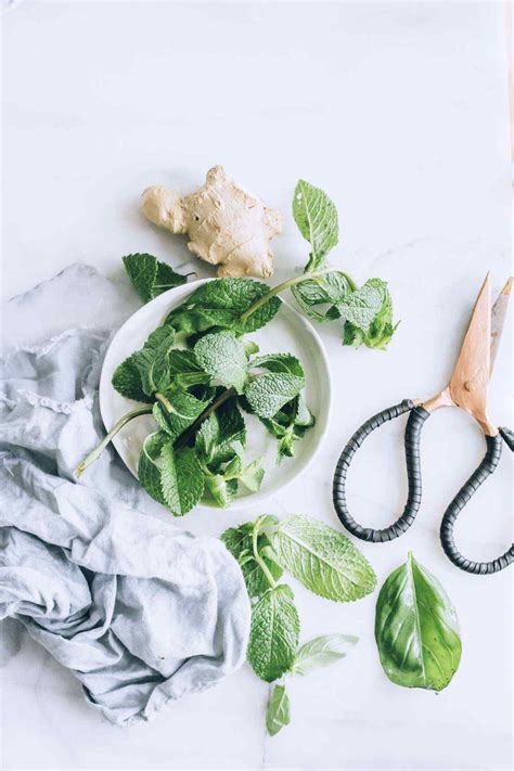 Sparkling Water Help Upset Stomach at Ruth Tolbert blog