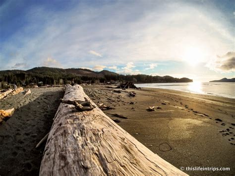 Road Tripping Around Vancouver Island S Pacific Marine Circle Route