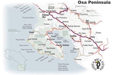 osa corcovado golfo dulce region costa rica