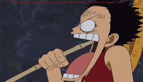 One Piece Funny Faces GIFs | Tenor