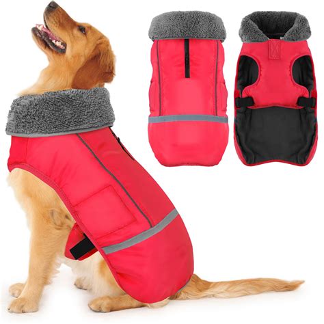 Do Dogs Need Coats In Cold Weather