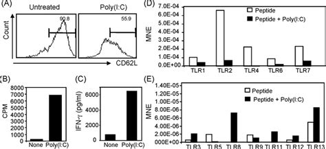 Antigen-specific activation of CD8+ T cells alters their expression of ... 