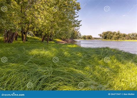 River Grass Stock Image Image Of Rocks Croix Foliage 26471947