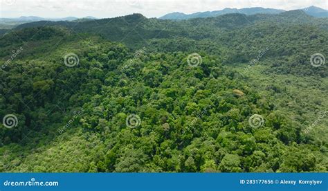 Tropical Landscape With Mountains And Jungle In Philippines Stock