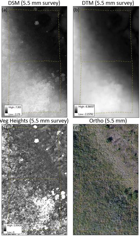 digital surface model dsm  digital terrain model dtm