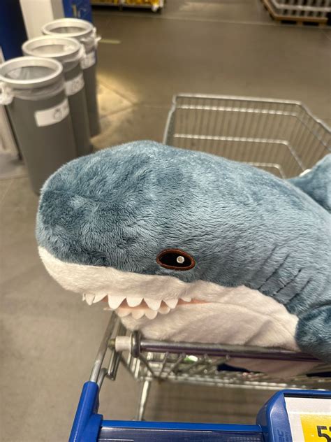 ikea shark 🤭 in 2024 | Shark decor, Shark toy, Ikea