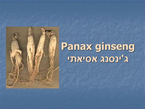 צמחי מרפא מומלצים לטיפול בחרדה - ppt download