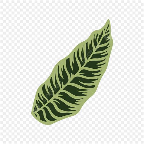 Tropical Palm Leaves Vector Design Images Tropical Palm Leaves Free