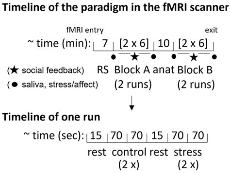 Cognitive Stress Regulation In Schizophrenia Patients And Healthy