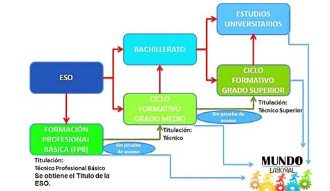 Todo lo que necesitas saber sobre los requisitos para acceder a FP Básica