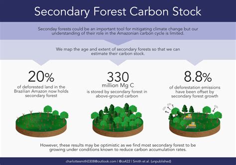 Smith Charlotte C Secondary Forest Carbon Stock
