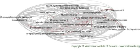 46 Xy Disorder Of Sex Development Disease Malacards Research Articles Drugs Genes Clinical