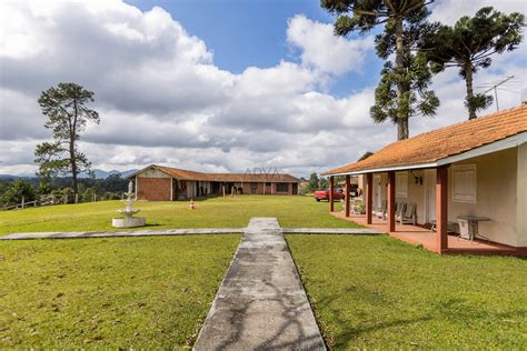 Veterinario Em Piraquara