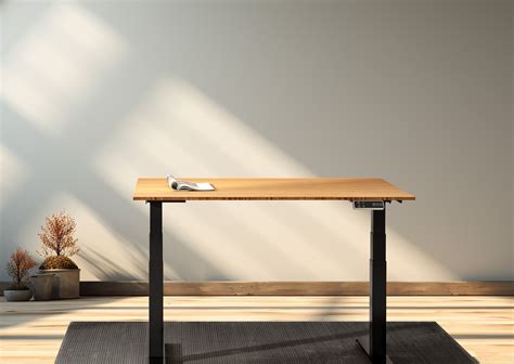 Rise Above Back Pain with the Spinal Health Benefits of Standing Desks