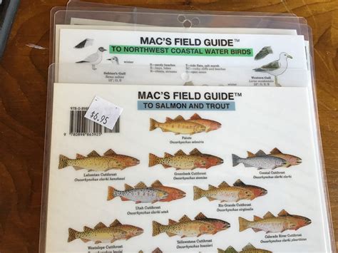 Macs Field Guide To Bad Garden Bugs 6