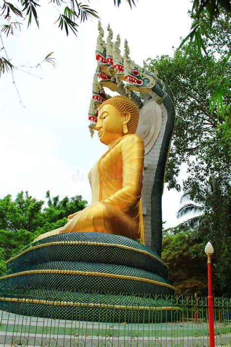 Figura De Buddha Que Se Sienta Imagen De Archivo Imagen De Imagen