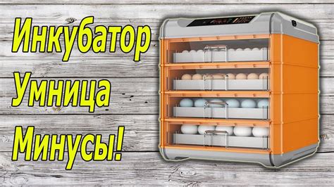 Инкубатор Умница - минусы - YouTube