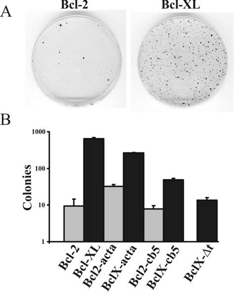 functional activity  bcl xl    ten times greater