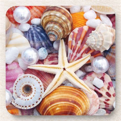 Beautiful Seashells Coasters Zazzle Seashell Painting Jigsaw