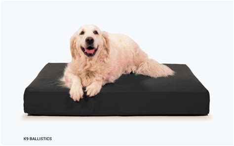indestructible  comfy dog beds  heavy chewers durability matters