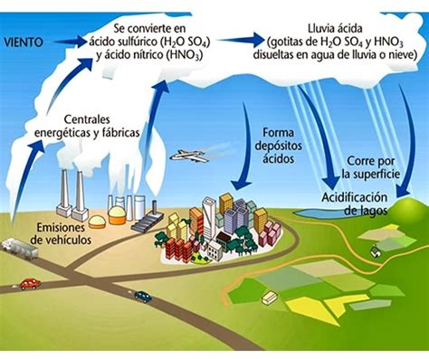 Ciclo del azufre Blog de Biología