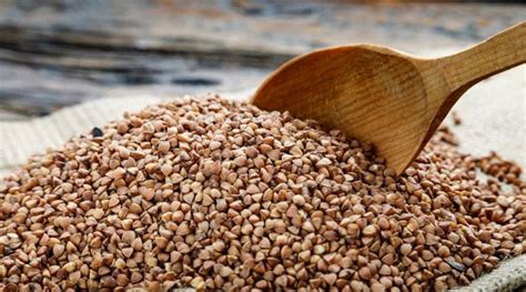 В Україні зібрали рекордний урожай гречки