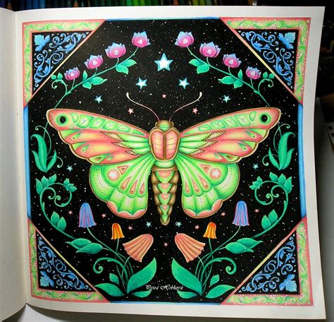 Johanna Basford Worlds Of Wonder Polychromos Coloring Book Art