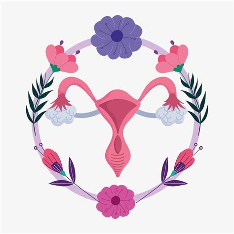 Female Human Reproductive System Womb Women Sex Organ With Flowers 2777345 Vector Art At Vecteezy