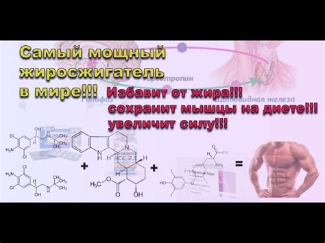 Самый мощный жиросжигатель в мире! - YouTube