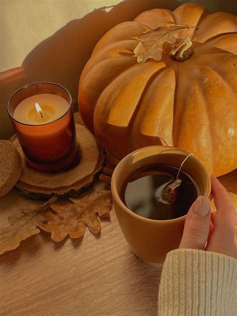 The Ultimate Fall Bucket List Autumn Aesthetic Autumn Inspiration