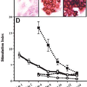 Hsa Fusion Protein Design Expression And Characterization A